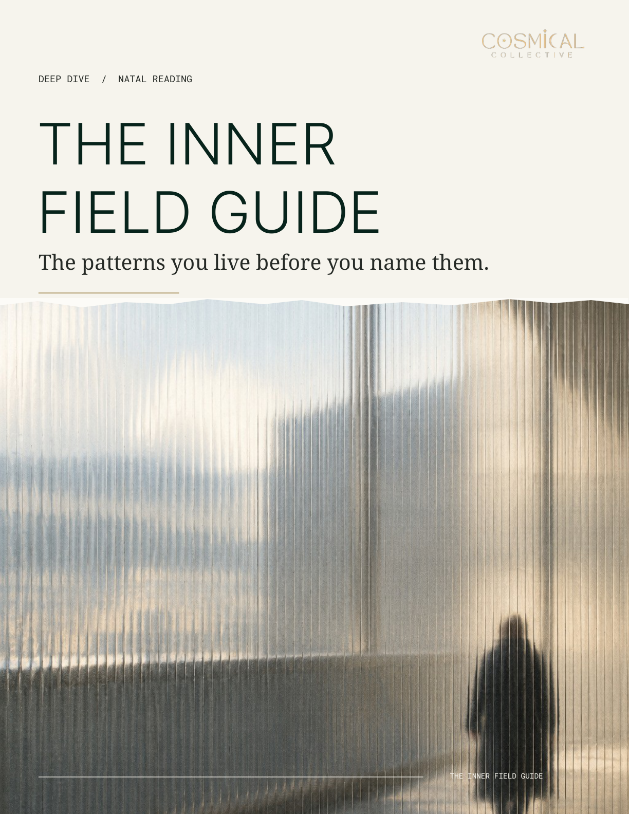 The Inner Field Guide editorial cover with forest-green typography and an anonymous figure behind ribbed architectural glass